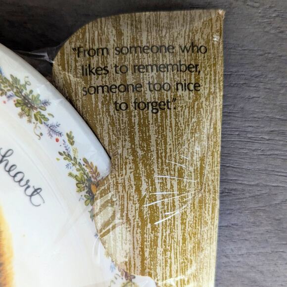 Vintage 1972 Holly Hobbie Christmas Plate – American Greetings Cat Collectible - Picture 9 of 13